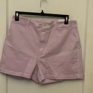 NWT Loft Celestina denim shorts.